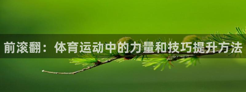 熊猫体育网站