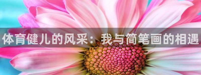 中山熊猫体育