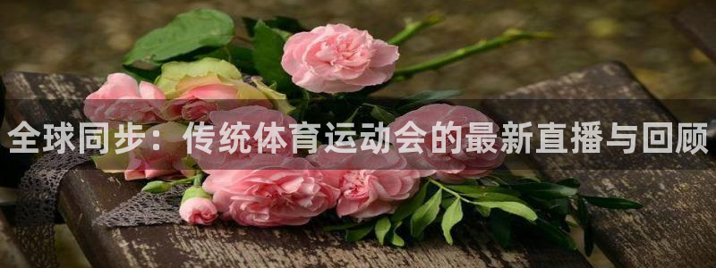 熊猫体育网址