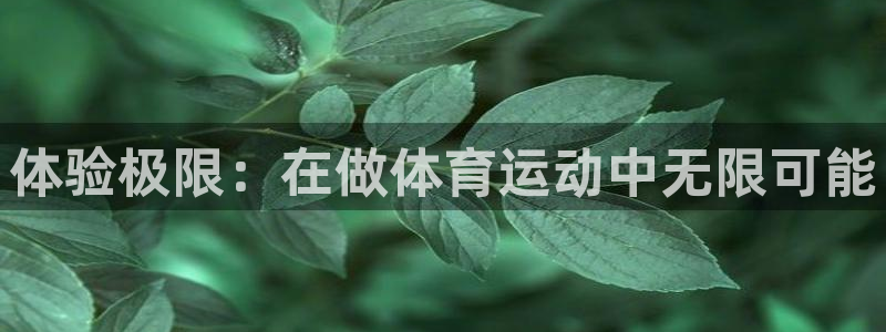 181熊猫体育