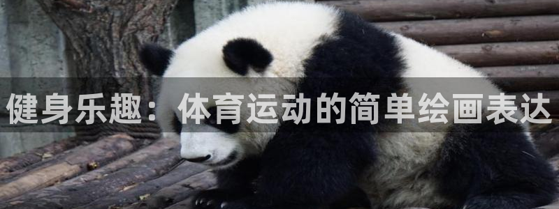 熊猫体育app下载安装