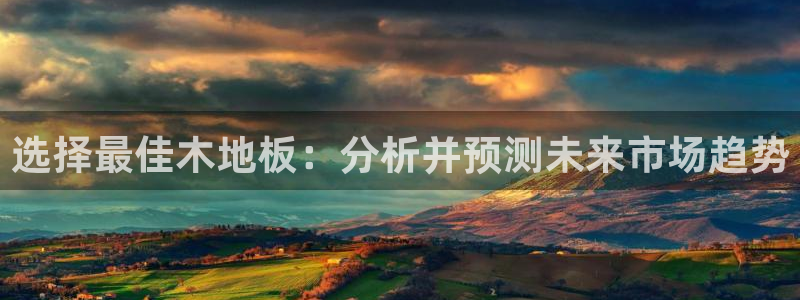 熊猫体育v3.新网页.org