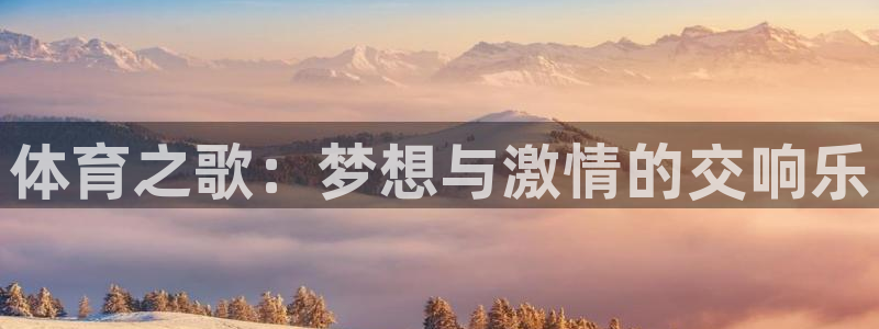 熊猫体育公园价格