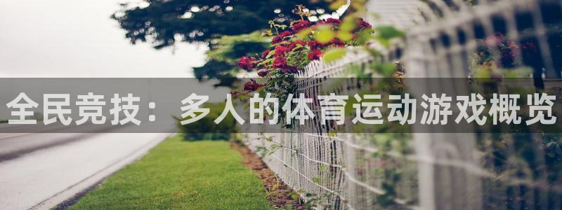 熊猫体育网址