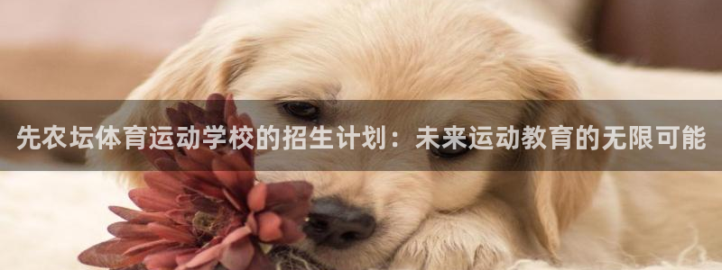 熊猫体育sports