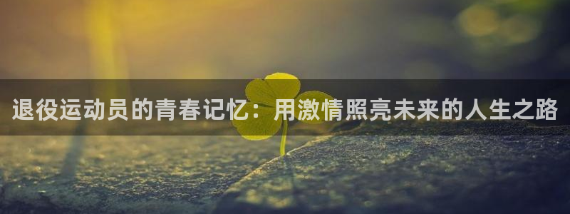 熊猫体育在线观看