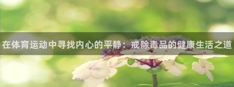 熊猫体育手机版