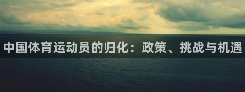 动感熊猫体育公园