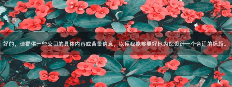 熊猫体育在线观看