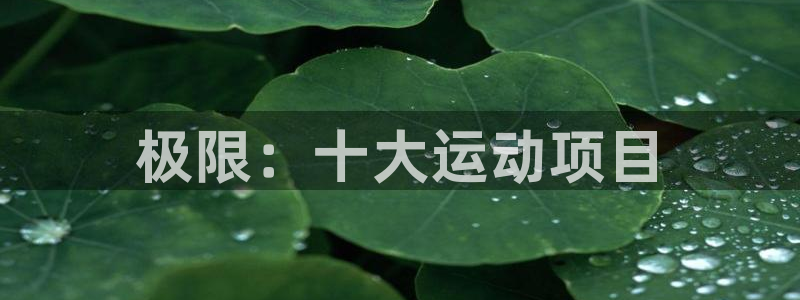 熊猫体育sports