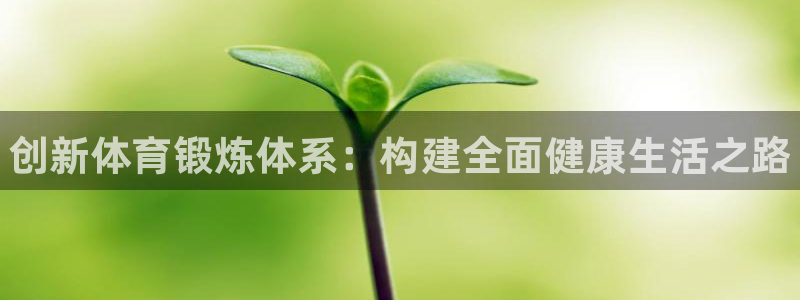 熊猫体育手机版
