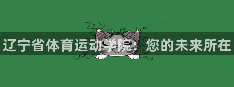 熊猫体育在线观看