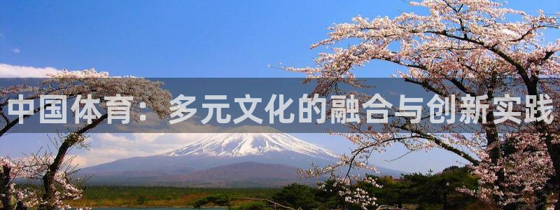 熊猫体育平台