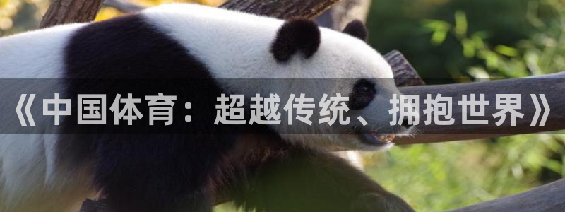 熊猫体育app官方下载最新版