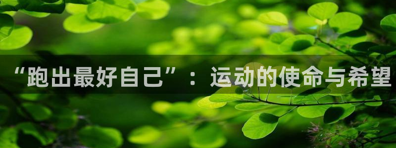 熊猫体育公园价格