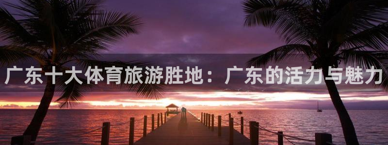 成都金熊猫体育