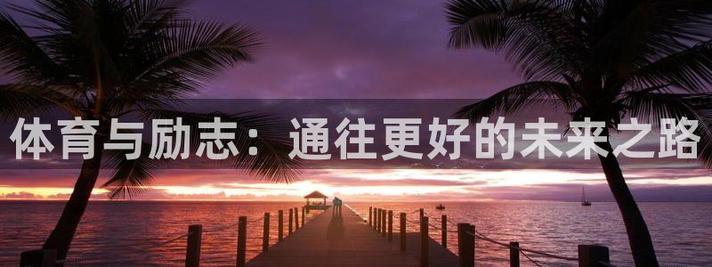 成都金熊猫体育