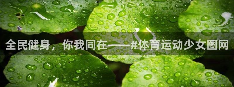 熊猫体育手机版