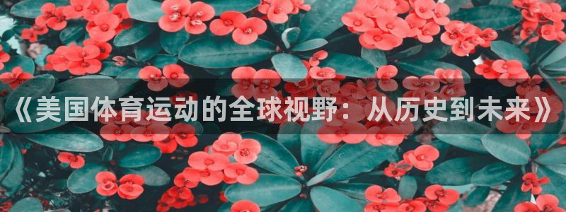 熊猫体育官网首页入口