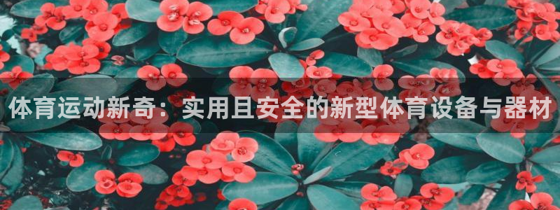 熊猫体育app官方下载最新版