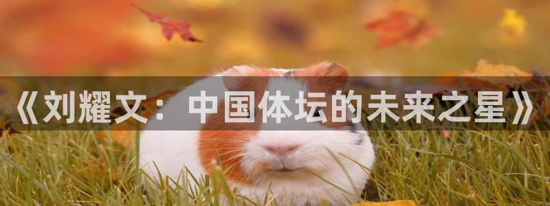 熊猫体育平台