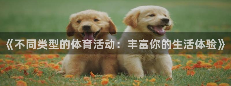 熊猫体育app官方下载最新版