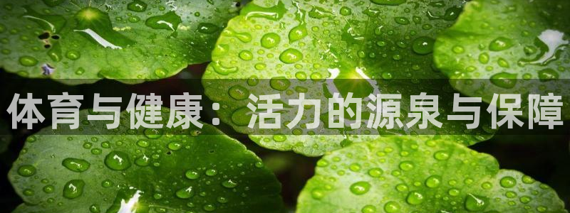 熊猫体育app下载安装