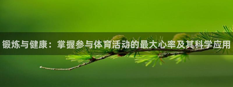 熊猫体育手机版