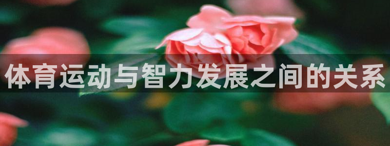 熊猫体育直播nba