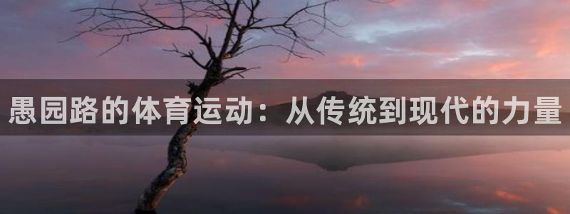 熊猫体育在线
