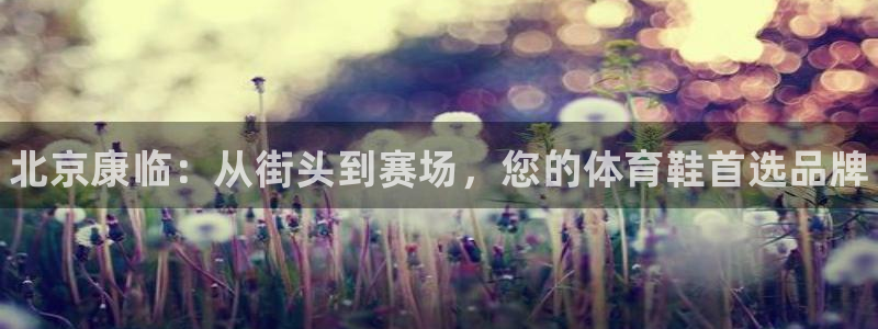熊猫体育在线