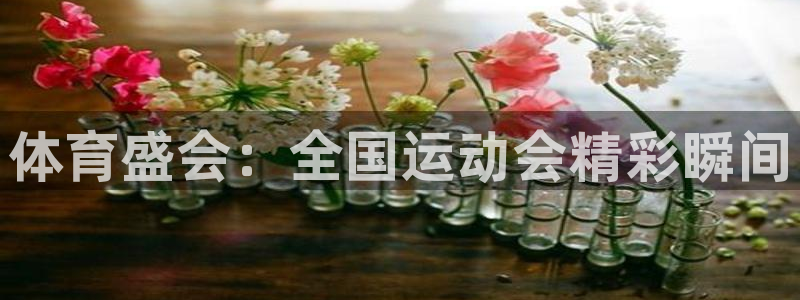 熊猫体育