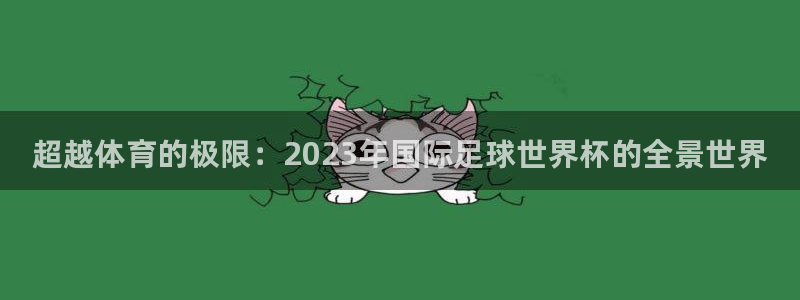 熊猫体育比赛直播