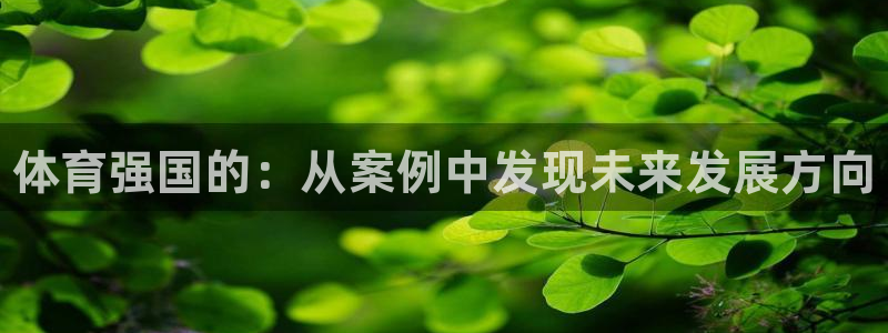 熊猫体育直播nba